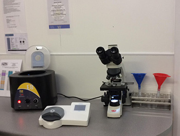 Microscope for semen assessment